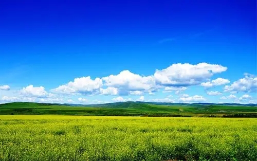 深港強(qiáng)化生態(tài)環(huán)境領(lǐng)域規(guī)則銜接與機(jī)制對(duì)接，攜手共赴美麗中國(guó)先行區(qū)之約 