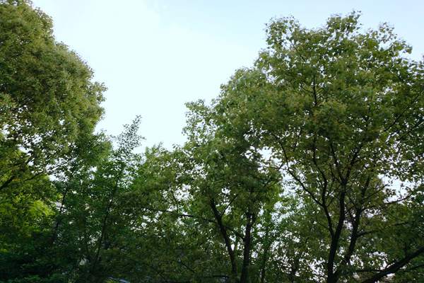 “統(tǒng)籌治理+精準(zhǔn)監(jiān)管” 汽開區(qū)打響臭氧污染防控戰(zhàn)